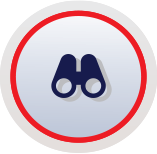 icon viso